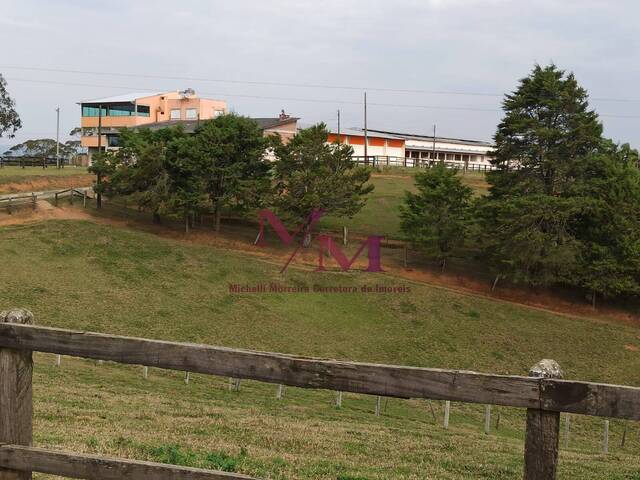 #404 - Haras para Venda em Pontal do Paraná - PR - 2