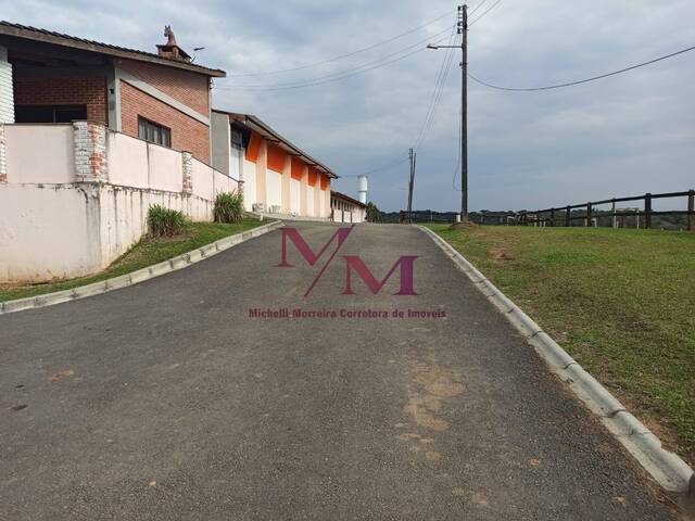 #404 - Haras para Venda em Pontal do Paraná - PR - 3