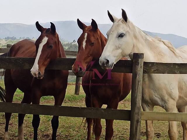 Haras para Venda em Pontal do Paraná - 5