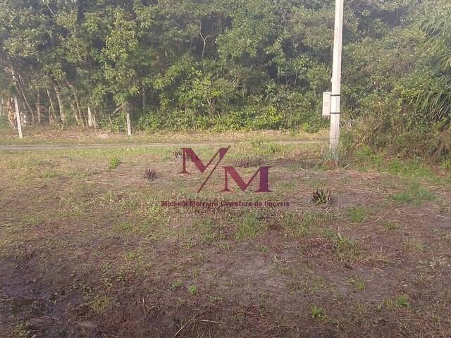 Terreno para Venda em Pontal do Paraná - 5