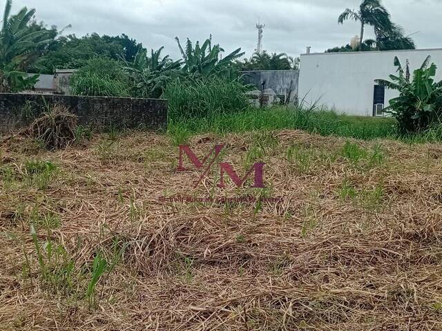 #662 - Terreno para Venda em Pontal do Paraná - PR - 3