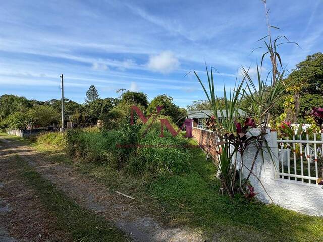 #680 - Terreno para Venda em Pontal do Paraná - PR - 3
