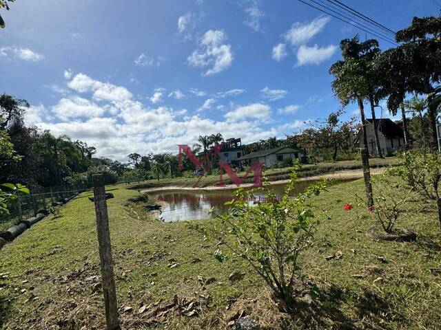 #686 - Chácara para Venda em Pontal do Paraná - PR - 3