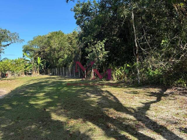 #689 - Chácara para Venda em Pontal do Paraná - PR - 2