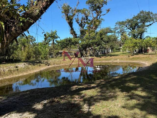 #689 - Chácara para Venda em Pontal do Paraná - PR - 3