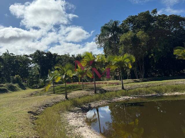 #690 - Chácara para Venda em Pontal do Paraná - PR - 2